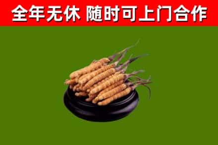 阳泉市烟酒回收冬虫夏草.jpg